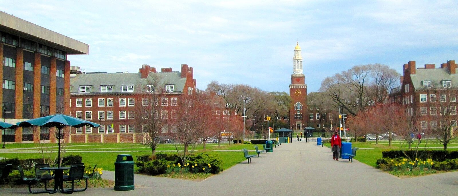 brooklyn colleges